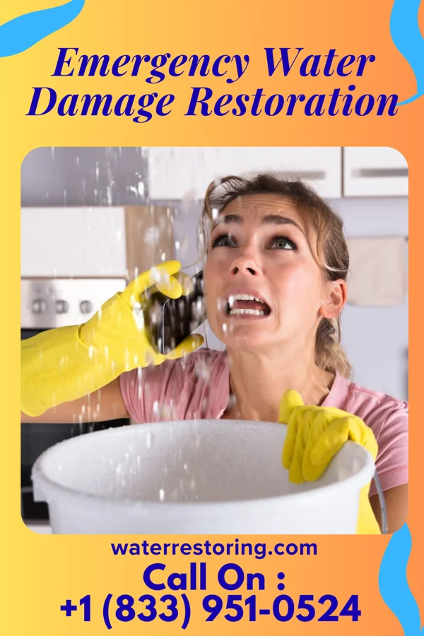 Emergency Water Damage Restoration in Forestville, WI