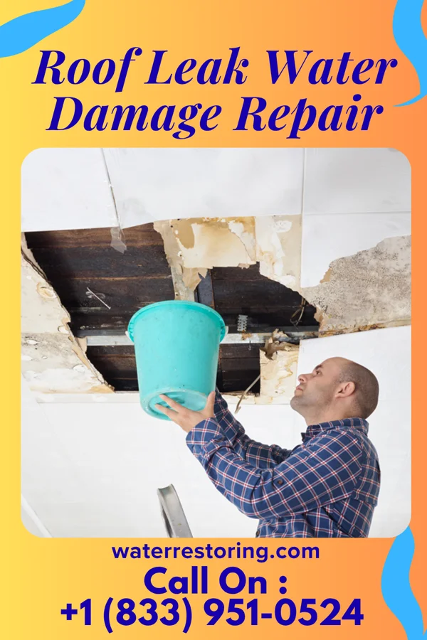Roof Leak Water Damage Repair in Forestville, WI