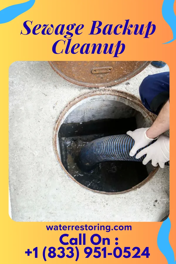Sewage Backup Cleanup in Forestville, WI