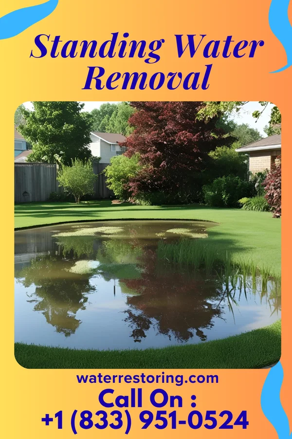Standing Water Removal in Forestville, WI